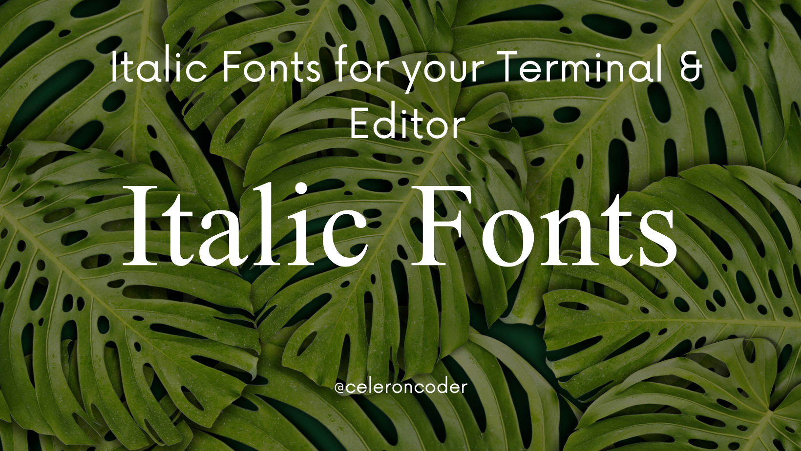 italic fonts blog post cover